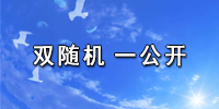 雙隨機一公開